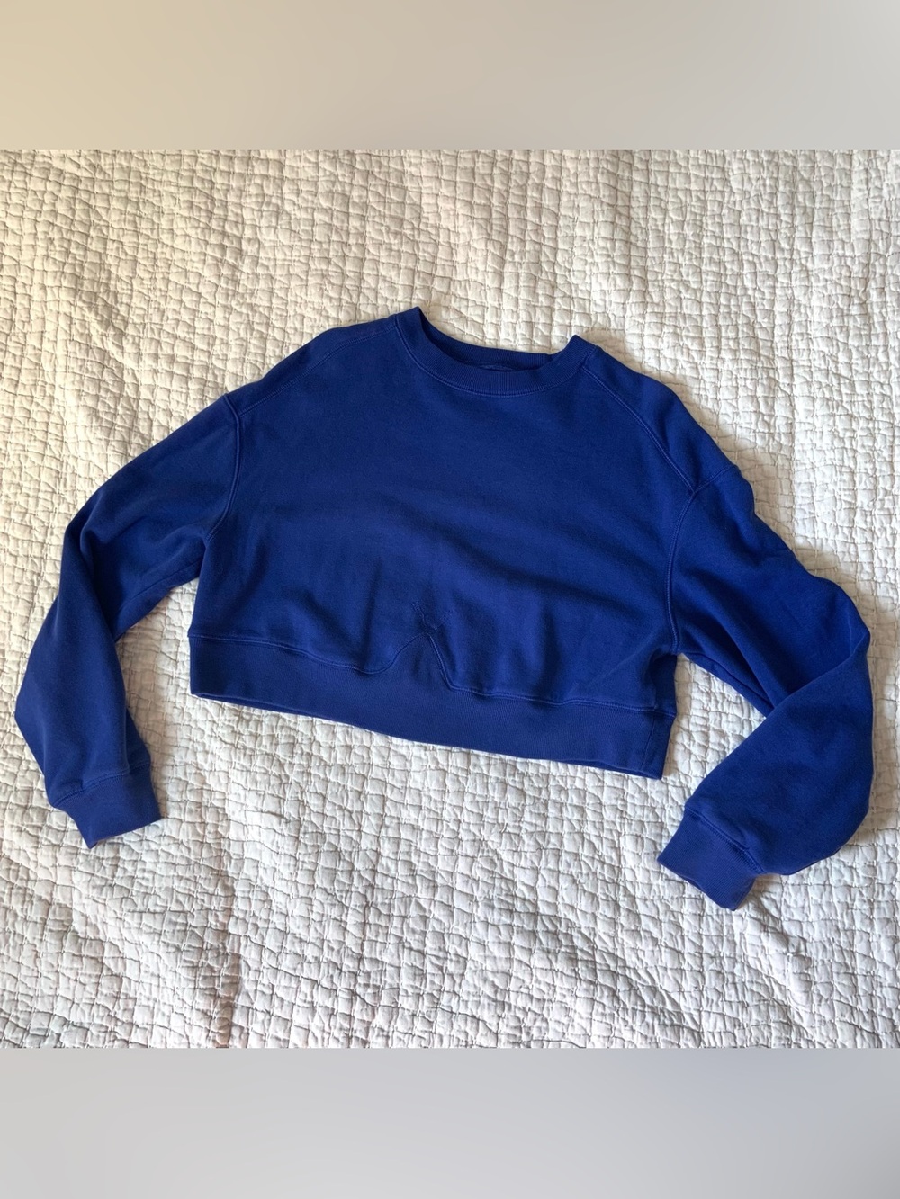 Everlane Organic Cotton Blue Crop Crewneck Sweatshirt